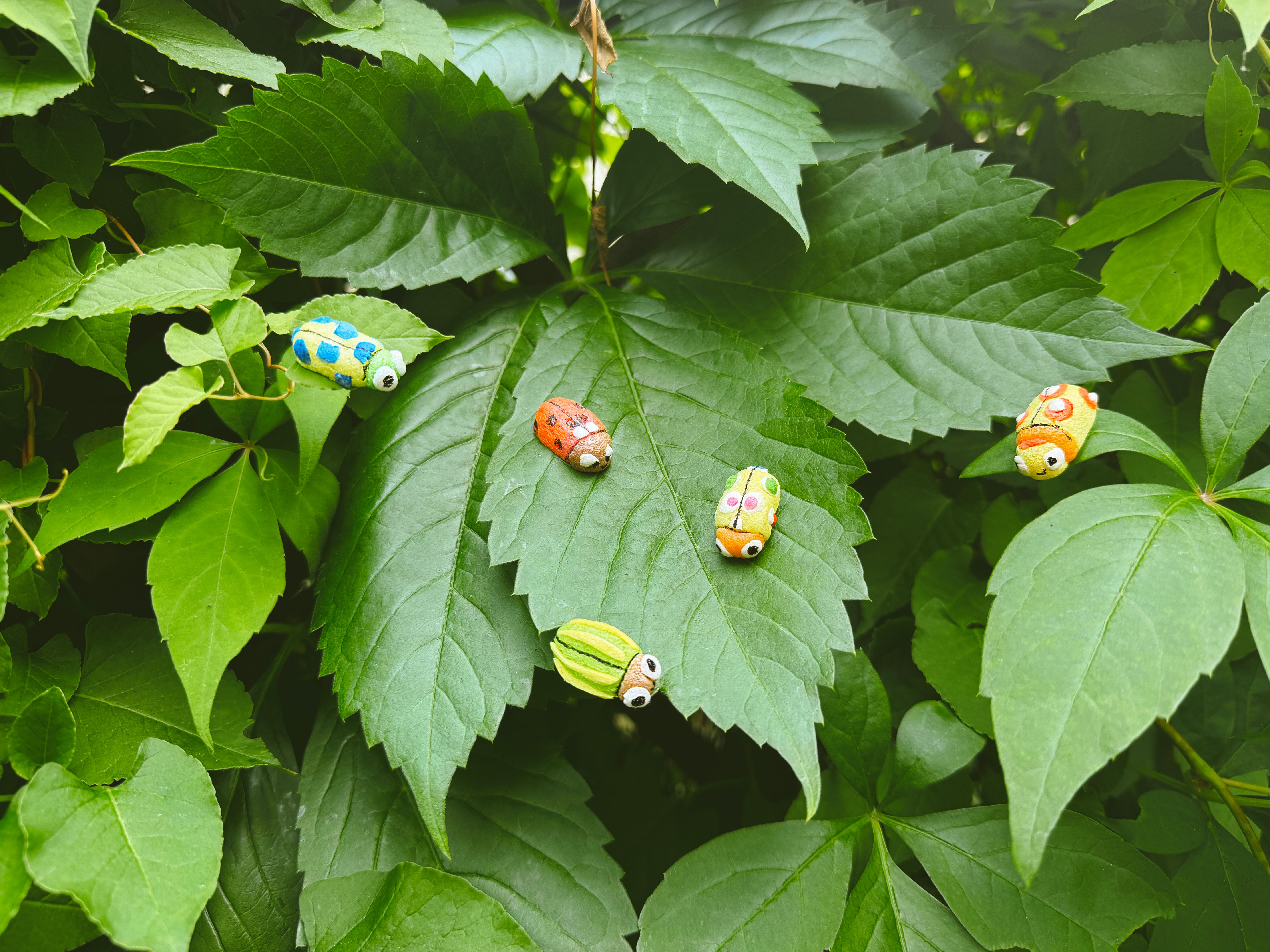 Bunte Playmais-Käfer auf Blättern
